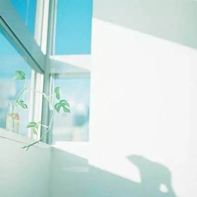疯狂头脑3d最新版下载
